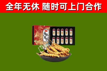 广西回收冬虫夏草价格