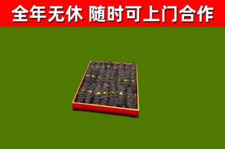 广西烟酒回收海参.jpg